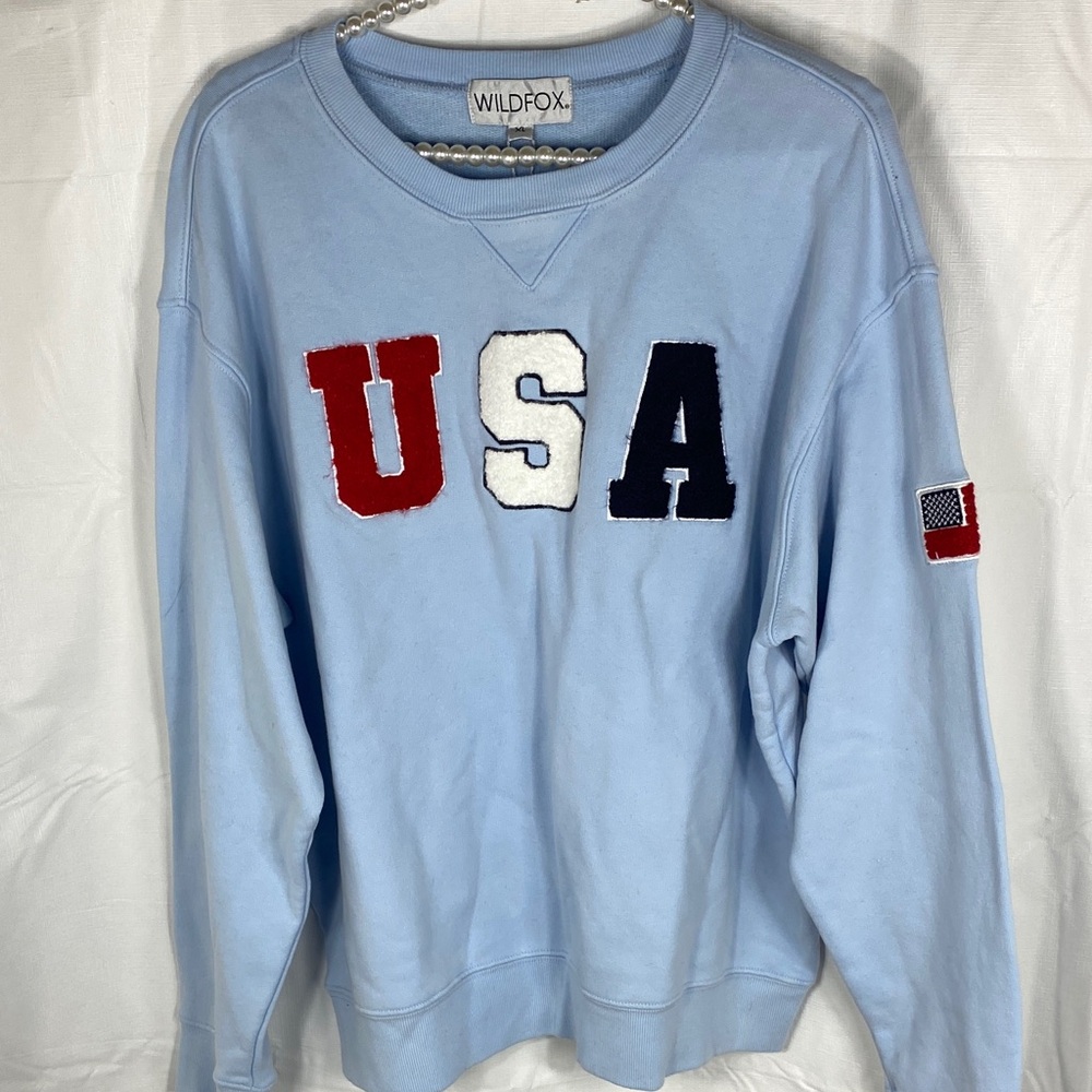 Wildfox Light Blue USA Crewneck Sweater